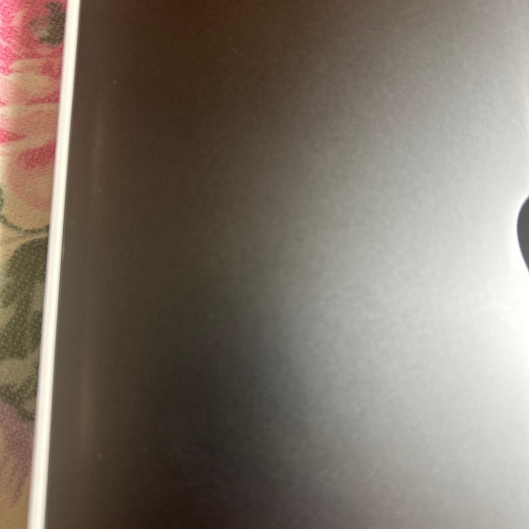 iPad Pro 12.9インチ 256GB 4世代+Apple pencil