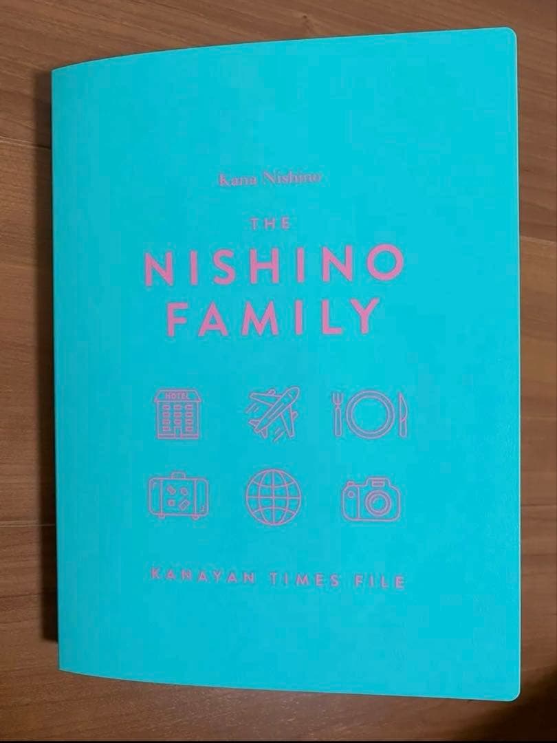 西野カナ カナやん LIVEグッズ 引退品 セット売り ペンライト CD パンフ