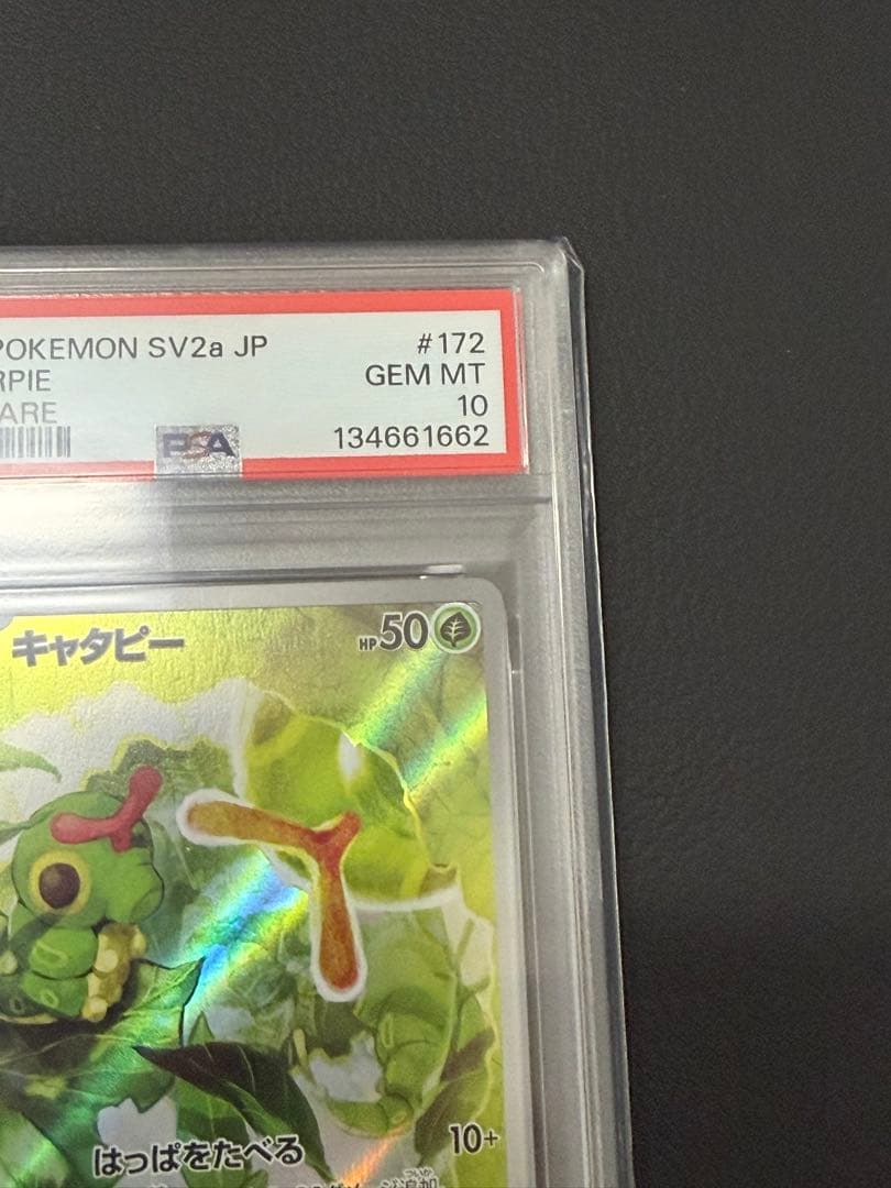【PSA10】キャタピー AR[SV2a 172/165]
