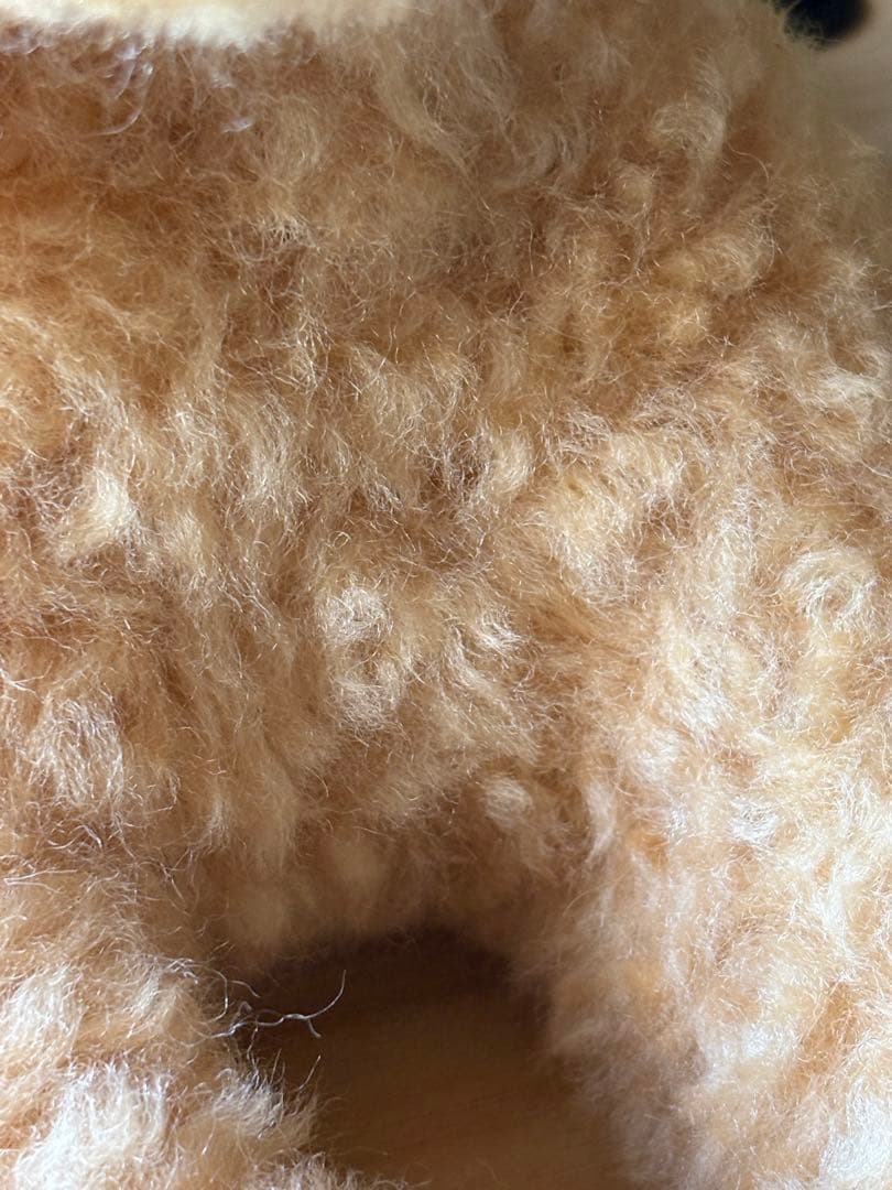 羊毛フェルト 毛糸 トイプードル（アプリコット）全長56cm❣️