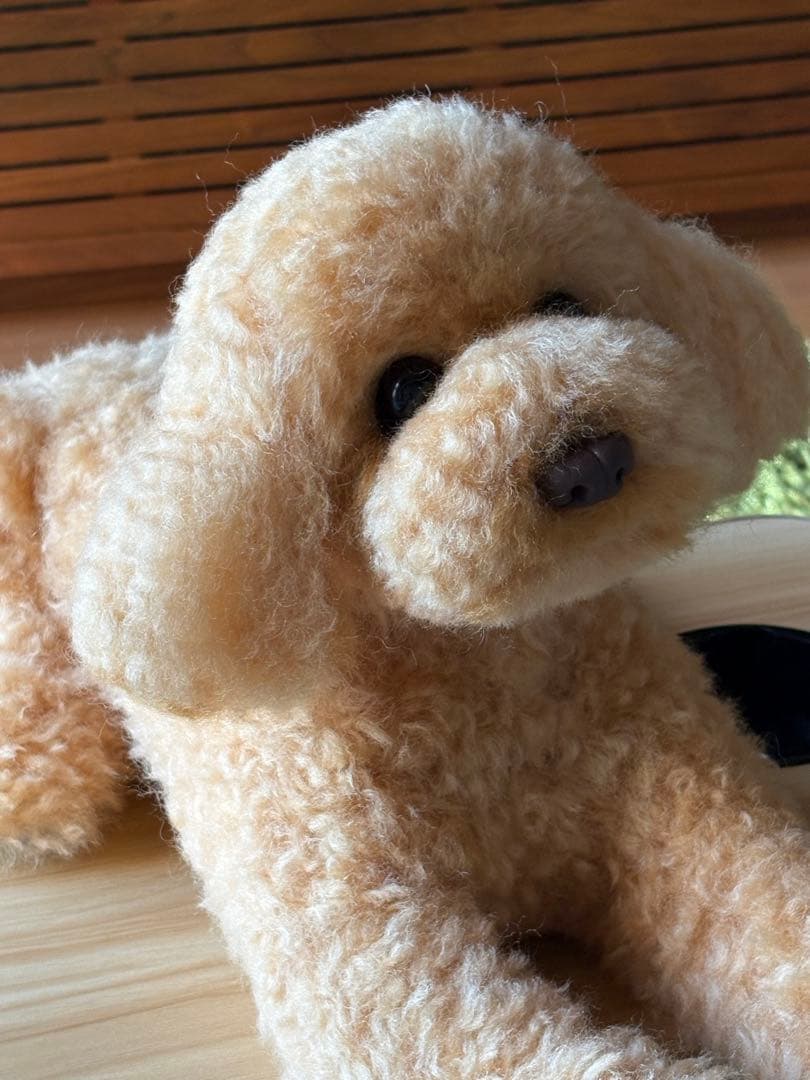 羊毛フェルト 毛糸 トイプードル（アプリコット）全長56cm❣️