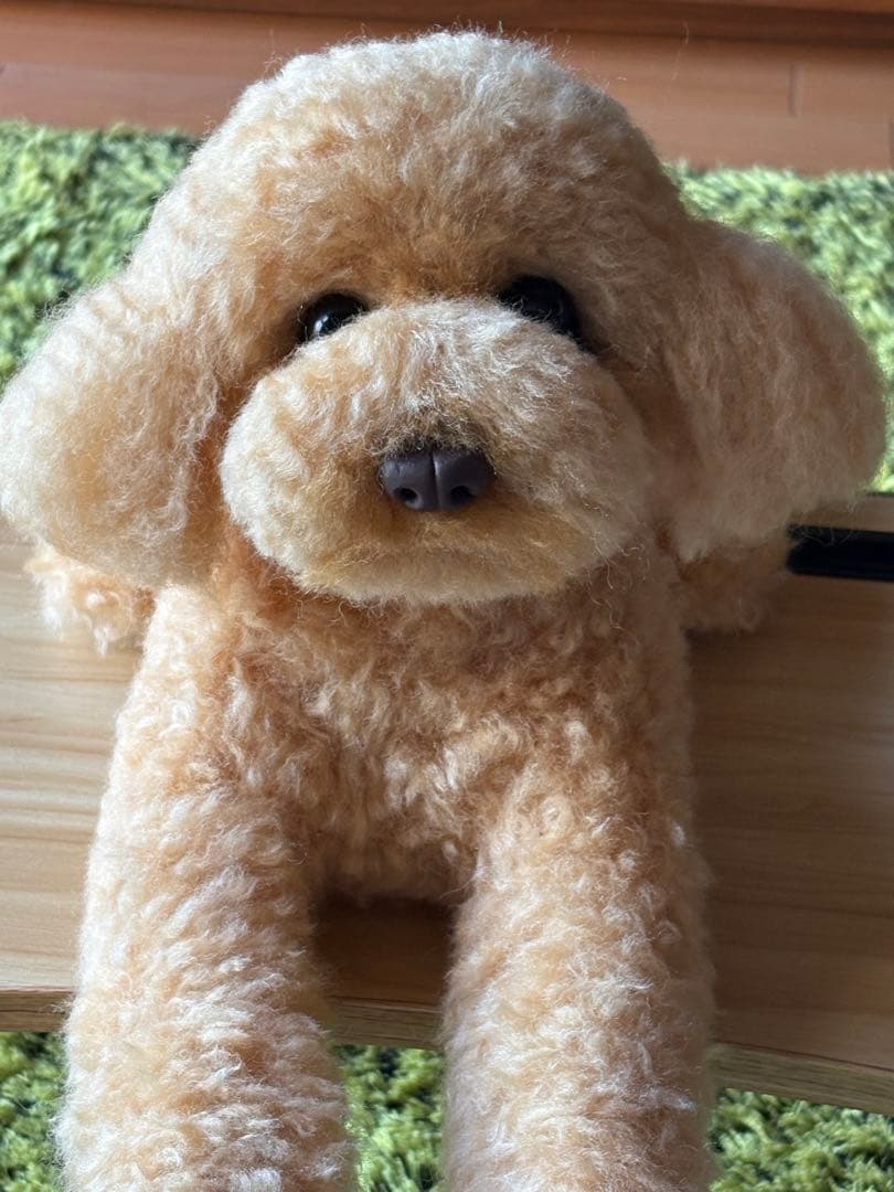 羊毛フェルト 毛糸 トイプードル（アプリコット）全長56cm❣️