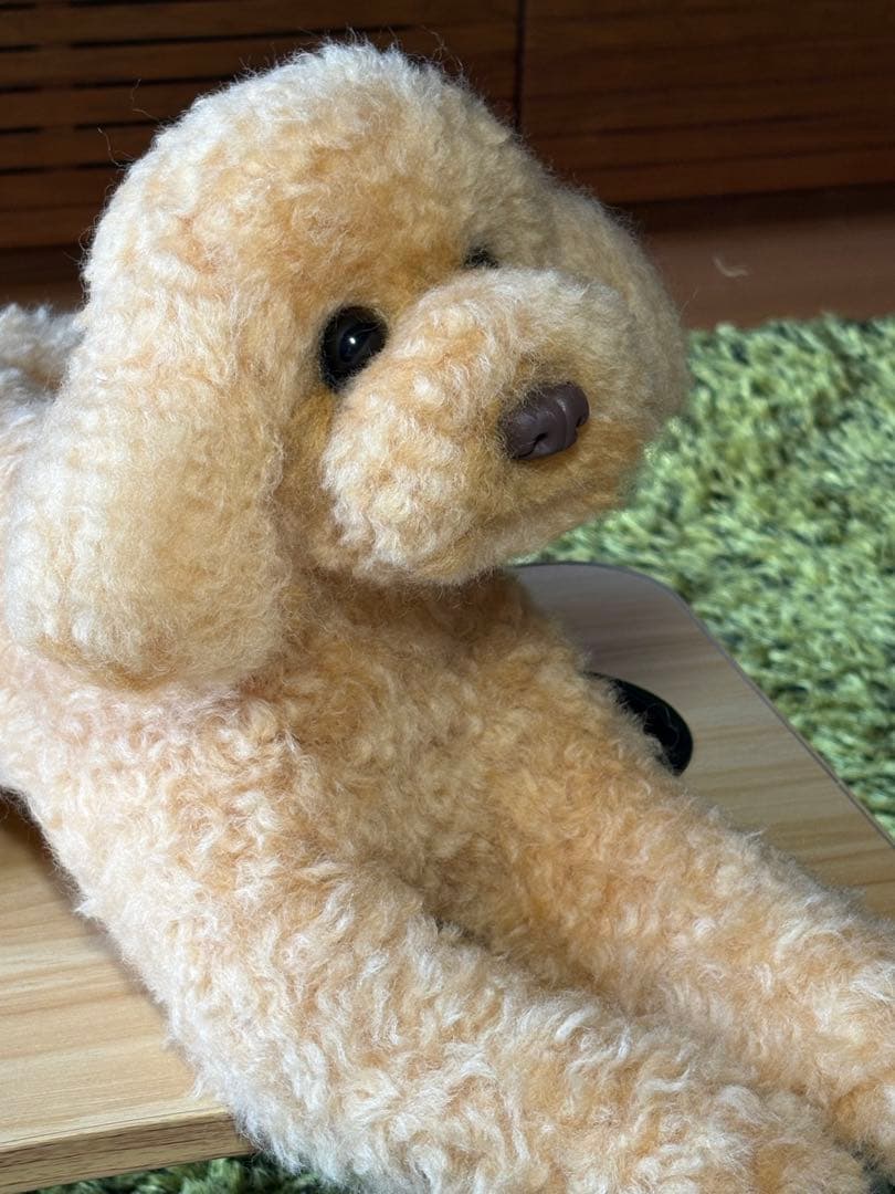 羊毛フェルト 毛糸 トイプードル（アプリコット）全長56cm❣️