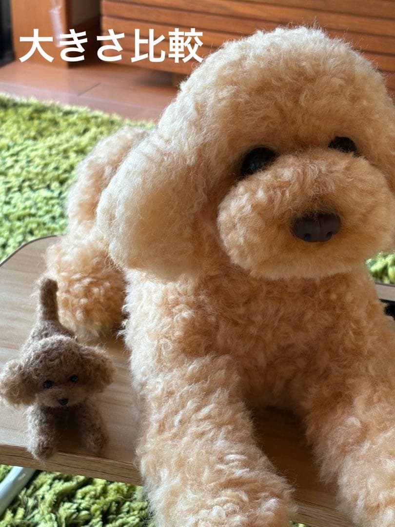 羊毛フェルト 毛糸 トイプードル（アプリコット）全長56cm❣️