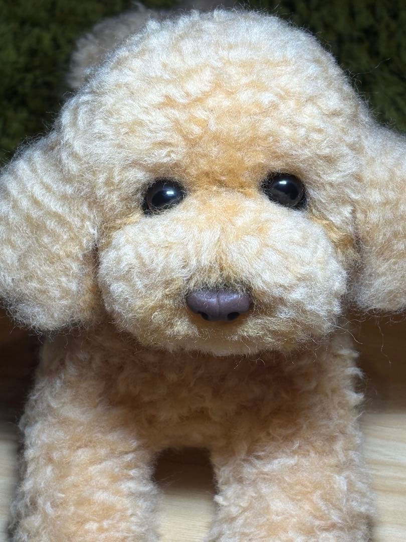 羊毛フェルト 毛糸 トイプードル（アプリコット）全長56cm❣️