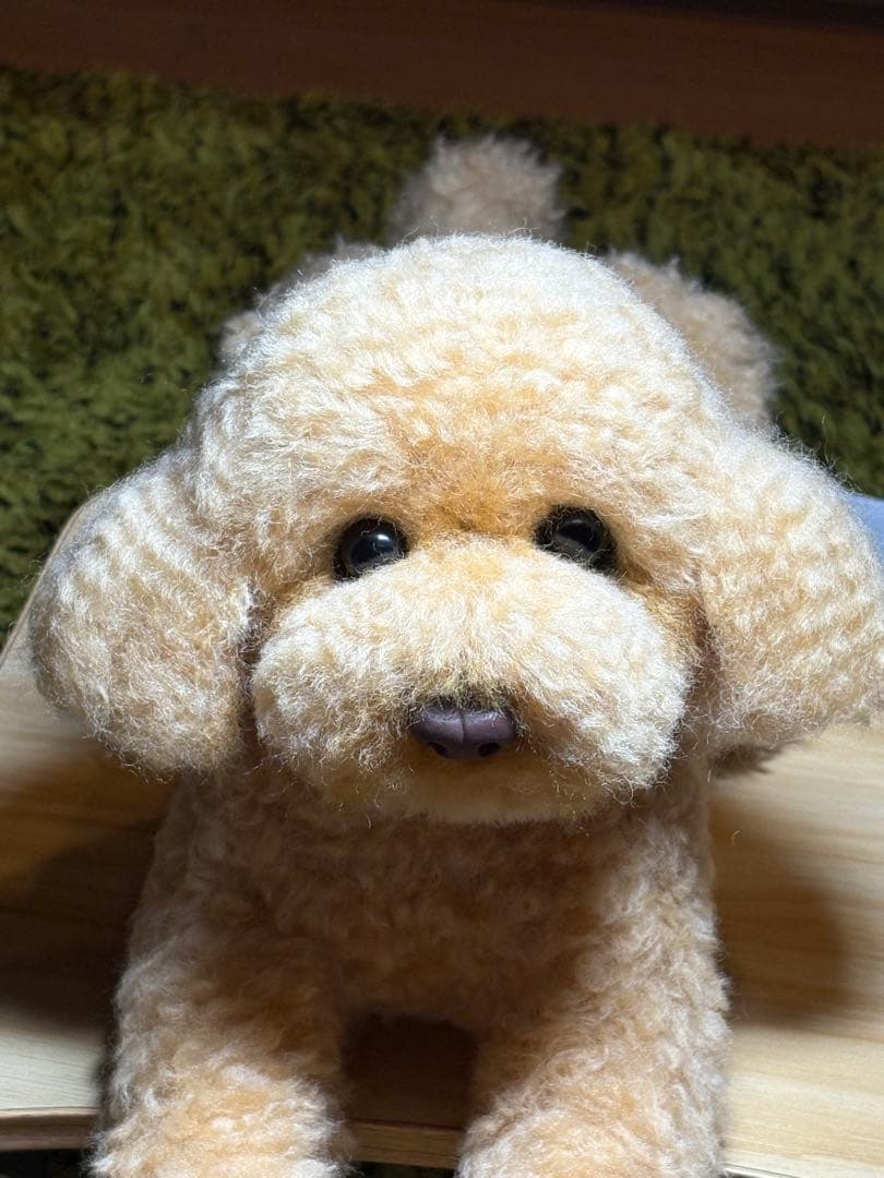 羊毛フェルト 毛糸 トイプードル（アプリコット）全長56cm❣️