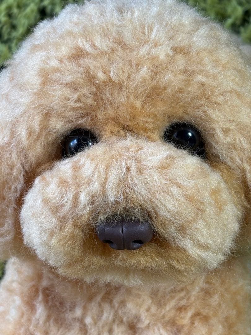 羊毛フェルト 毛糸 トイプードル（アプリコット）全長56cm❣️