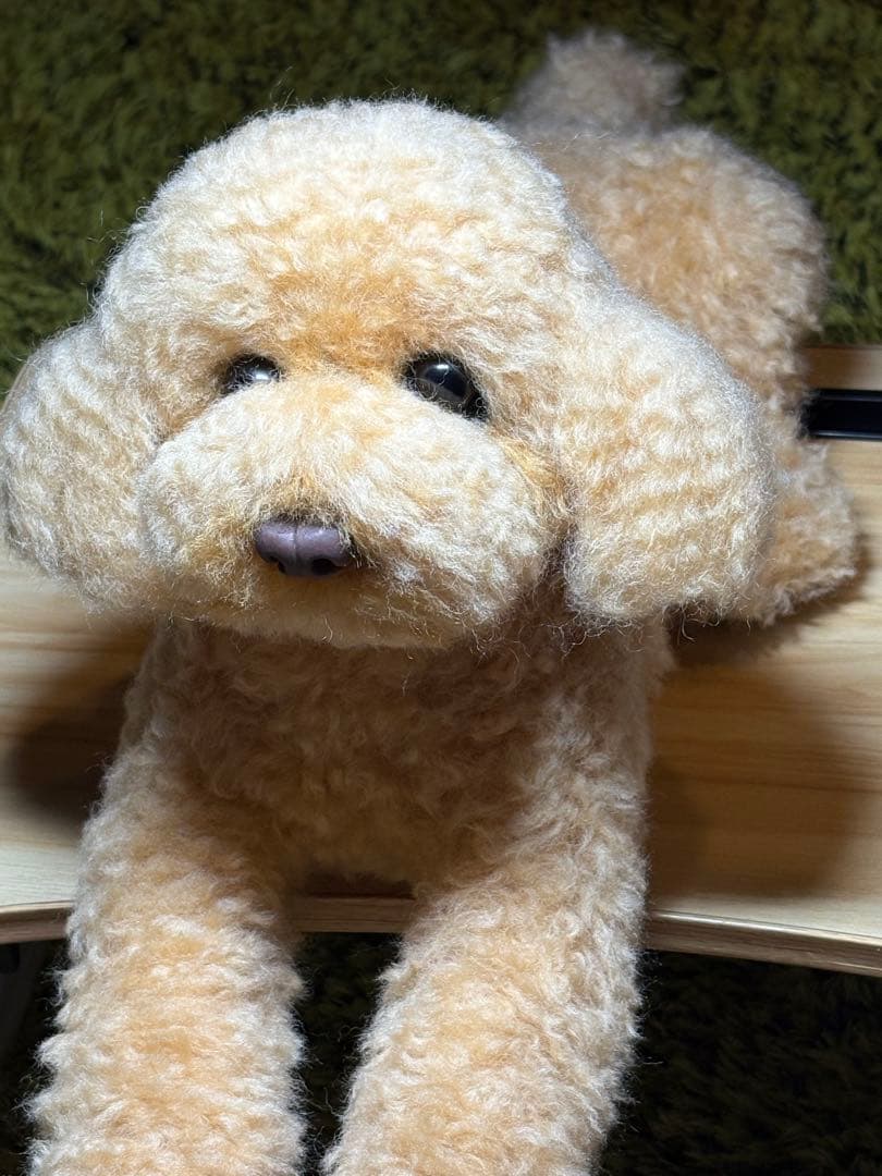 羊毛フェルト 毛糸 トイプードル（アプリコット）全長56cm❣️