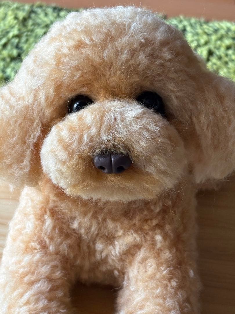 羊毛フェルト 毛糸 トイプードル（アプリコット）全長56cm❣️