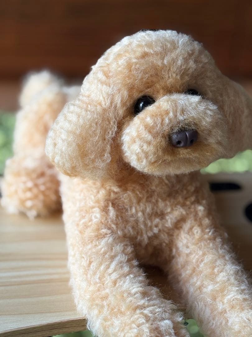 羊毛フェルト 毛糸 トイプードル（アプリコット）全長56cm❣️