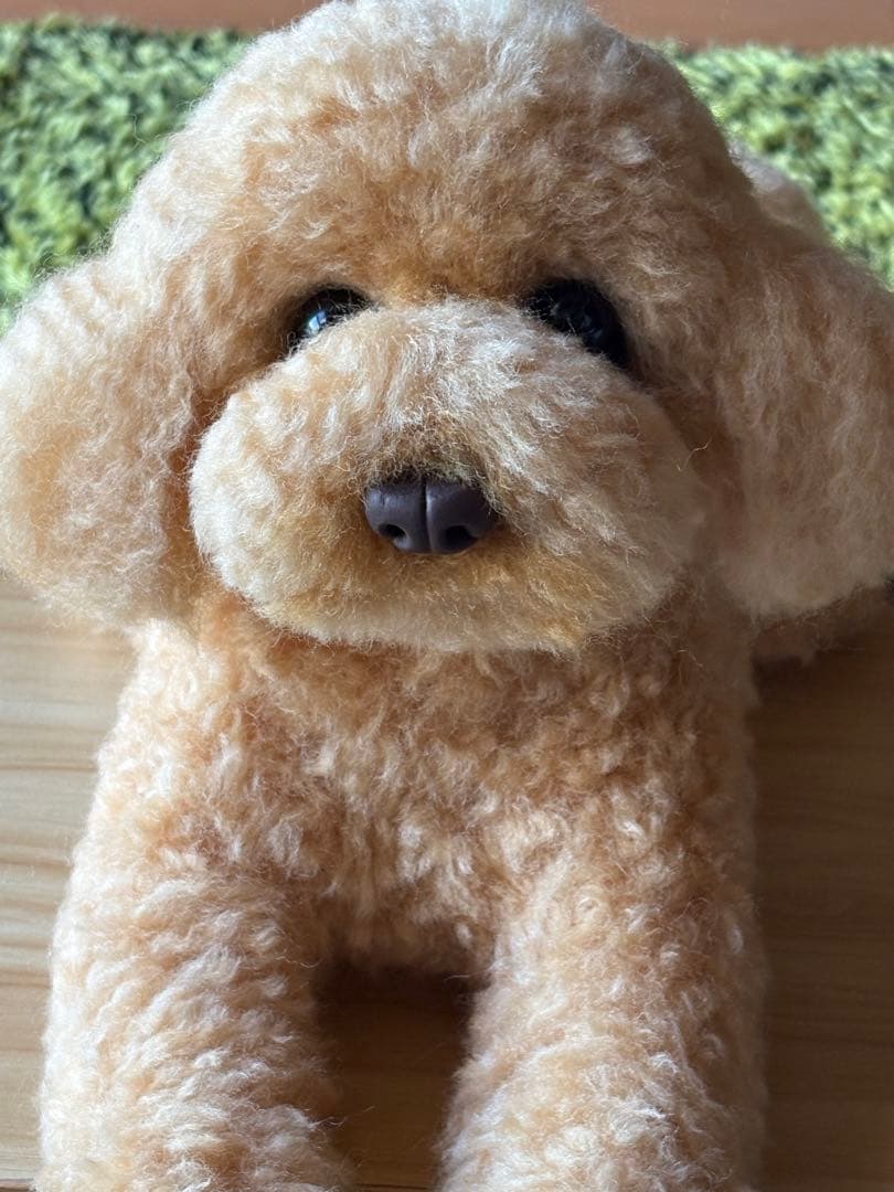 羊毛フェルト 毛糸 トイプードル（アプリコット）全長56cm❣️