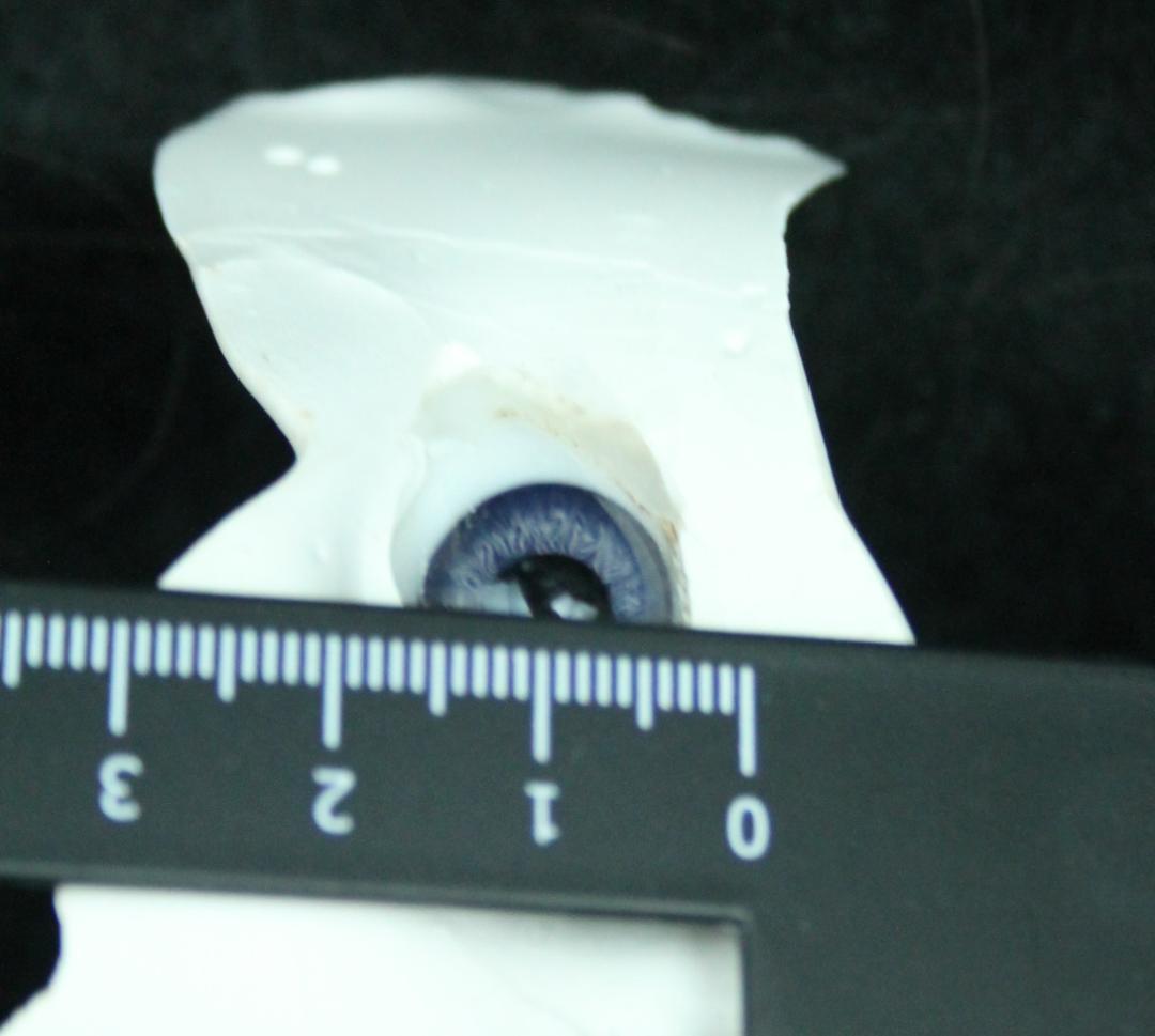 ◎ジュモーオリジナル ペーパーウェイト グラスアイ ビスクドール パーツ