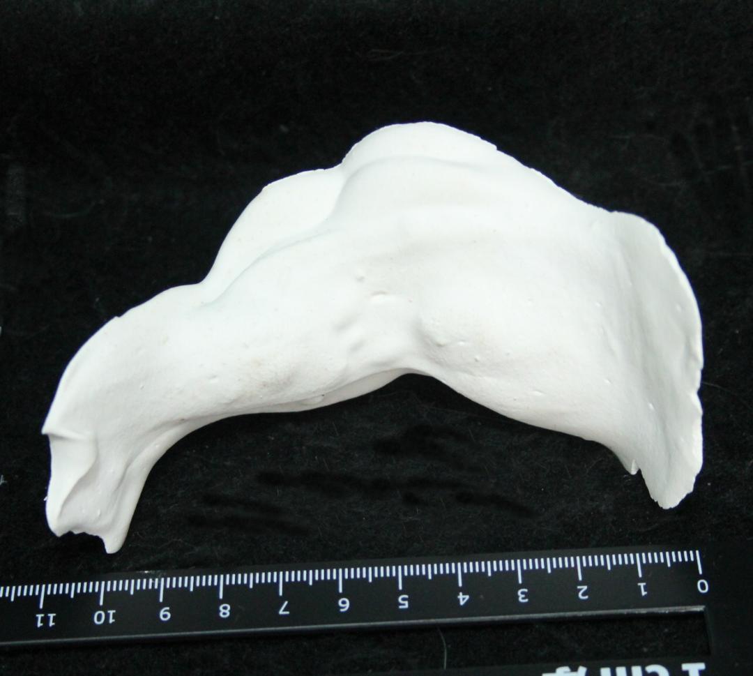 ◎ジュモーオリジナル ペーパーウェイト グラスアイ ビスクドール パーツ