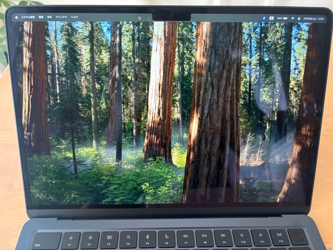 M2 MacBook Air 16GB AppleCare+2028年　放電8回