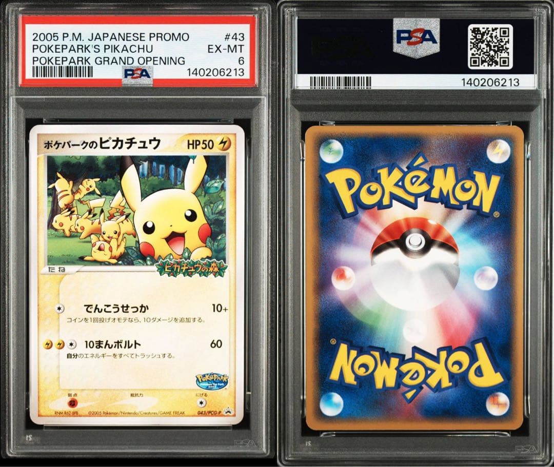 PSA6 ポケパークのピカチュウ 超希少 pokepark pikachu レア