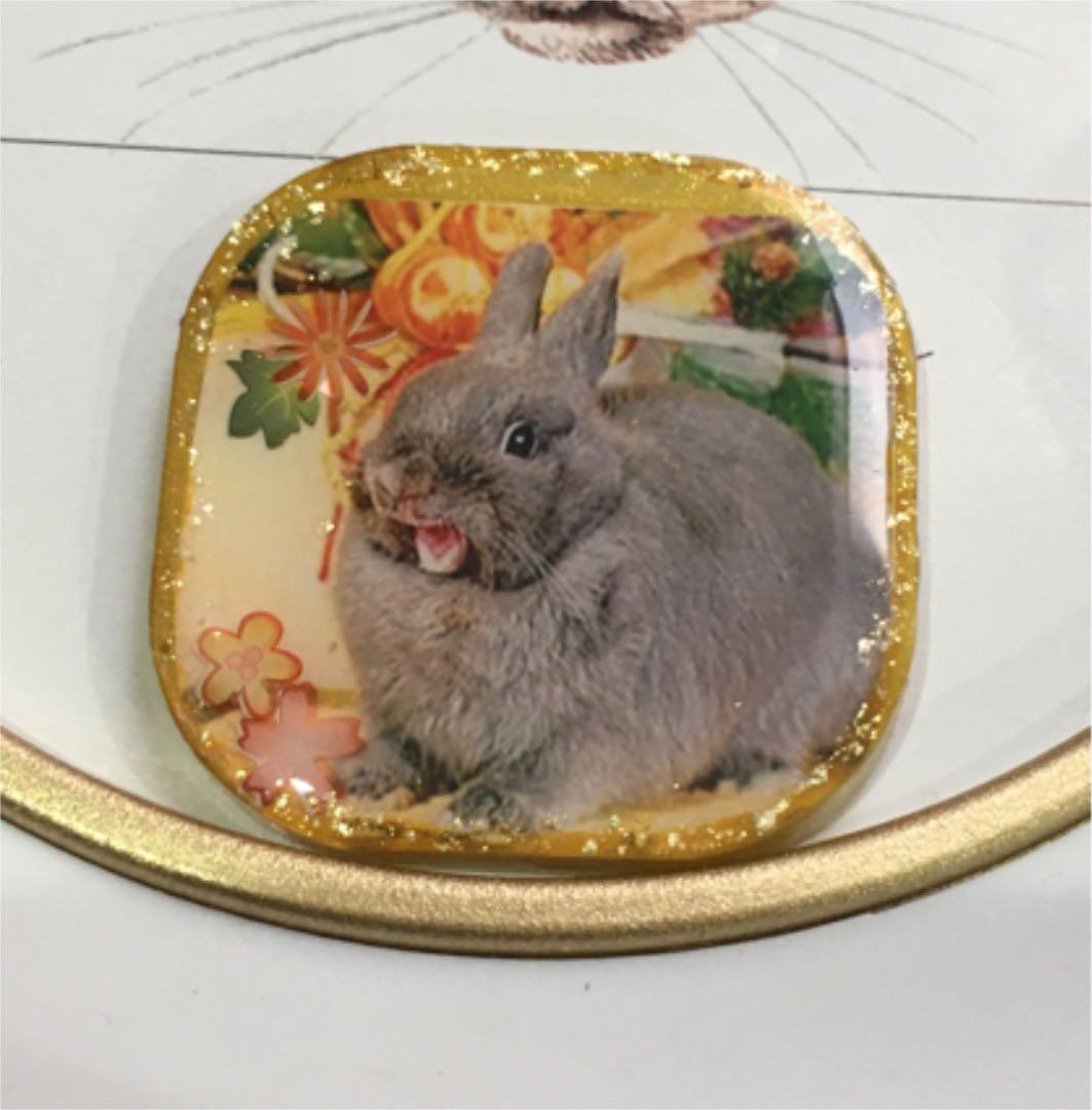 レジンヘアゴム♡お正月うさぎさん