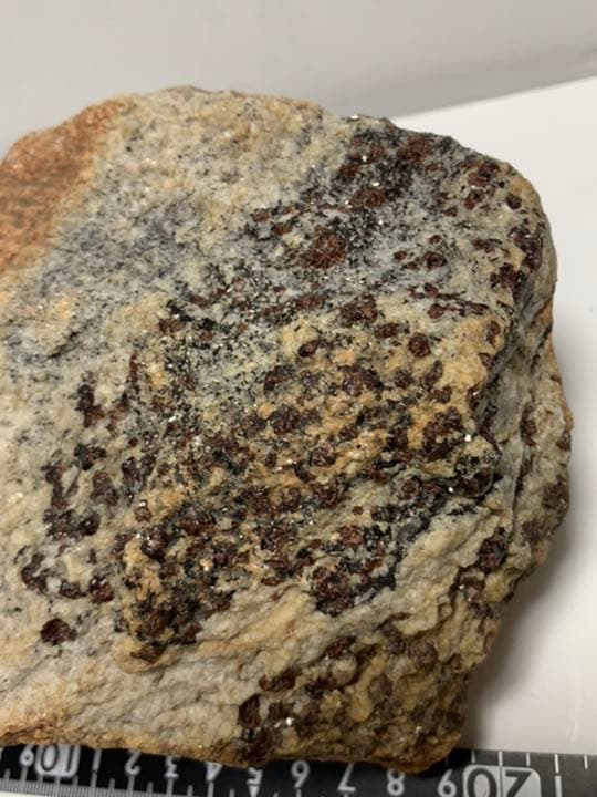 南極 南極の石 しらせ  昭和基地 南極観測船　ふじ