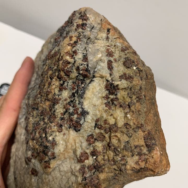 南極 南極の石 しらせ  昭和基地 南極観測船　ふじ