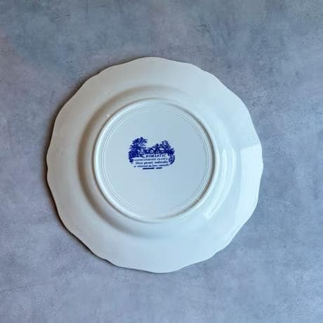 SARREGUEMINES ディナープレート ROMANTIC