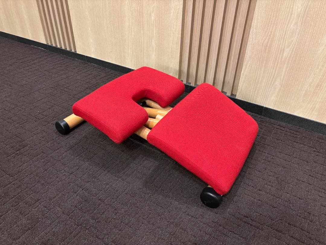 【送料込】VARIER ヴァリエール マルチバランスチェア レッド 姿勢矯正