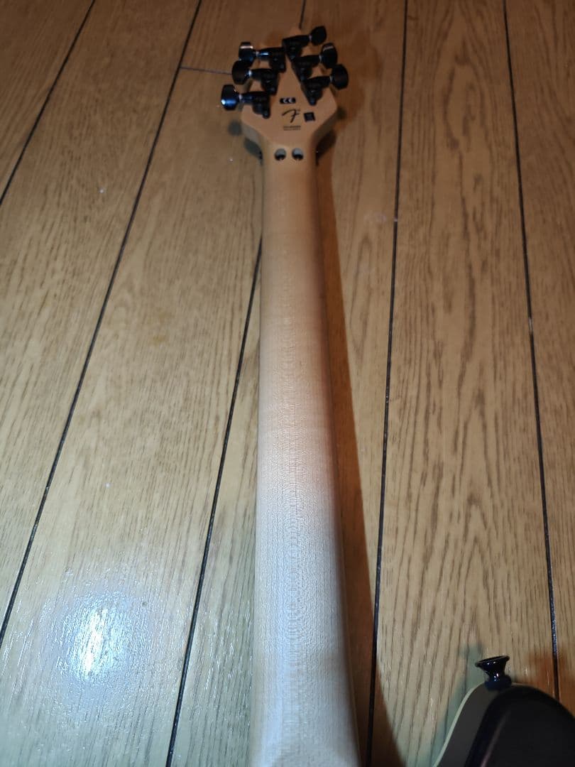 EVH Wolfgang Special Stealth Black 中古