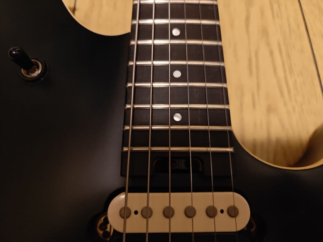 EVH Wolfgang Special Stealth Black 中古