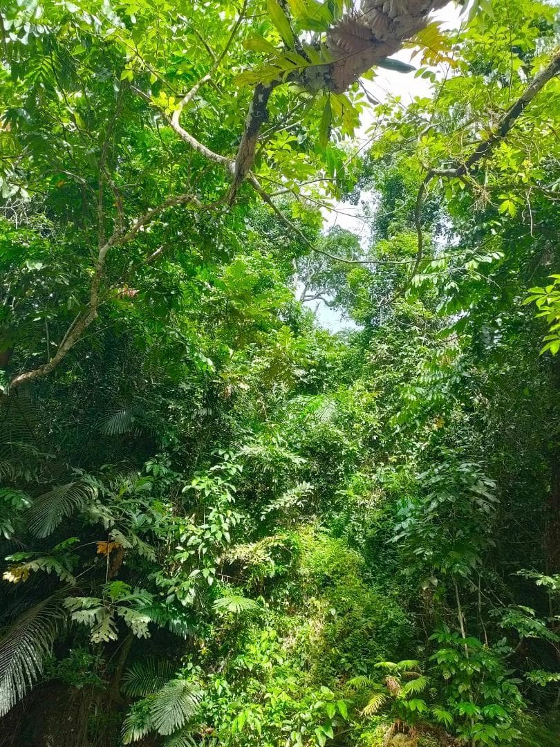 ❇神聖物⭐ポンカーン♉タイの宝石♎レクライ♌多彩なクリスタル❄プラクルアン✨