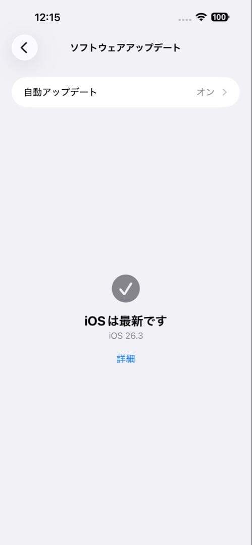 iPhone15Plus 256gb SIMフリー　バッテリー最大容量95%