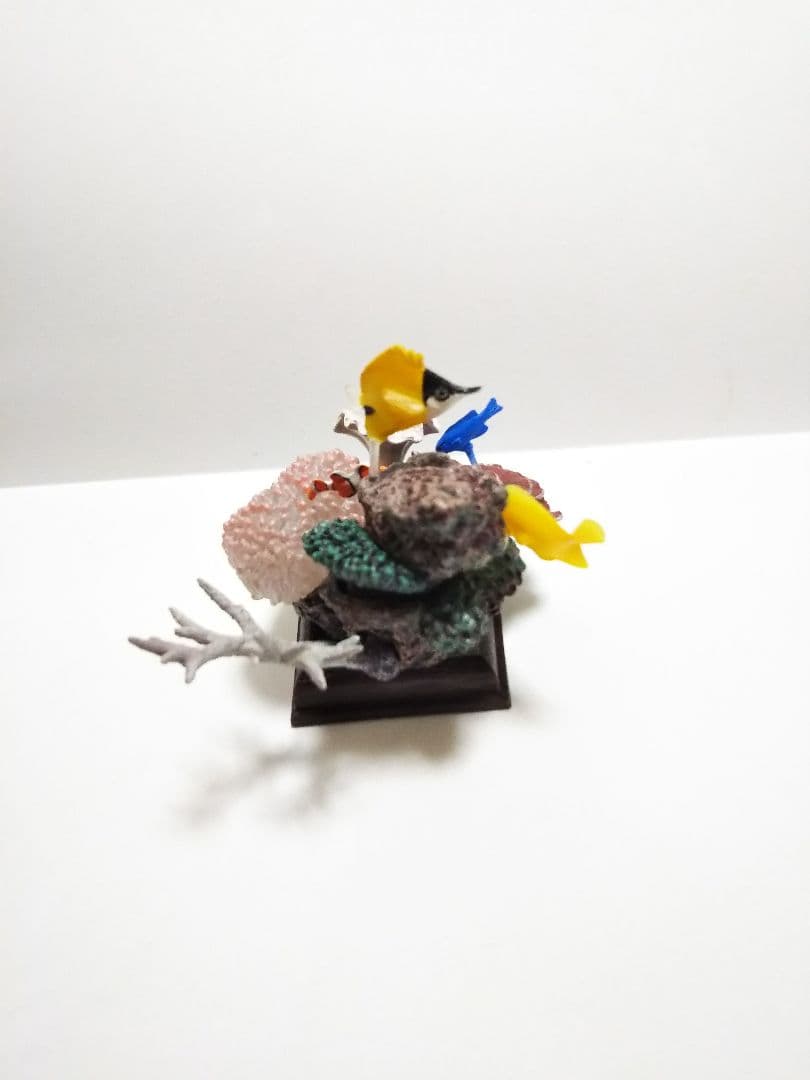 ネイチャーテクニカラー サンゴ礁の海