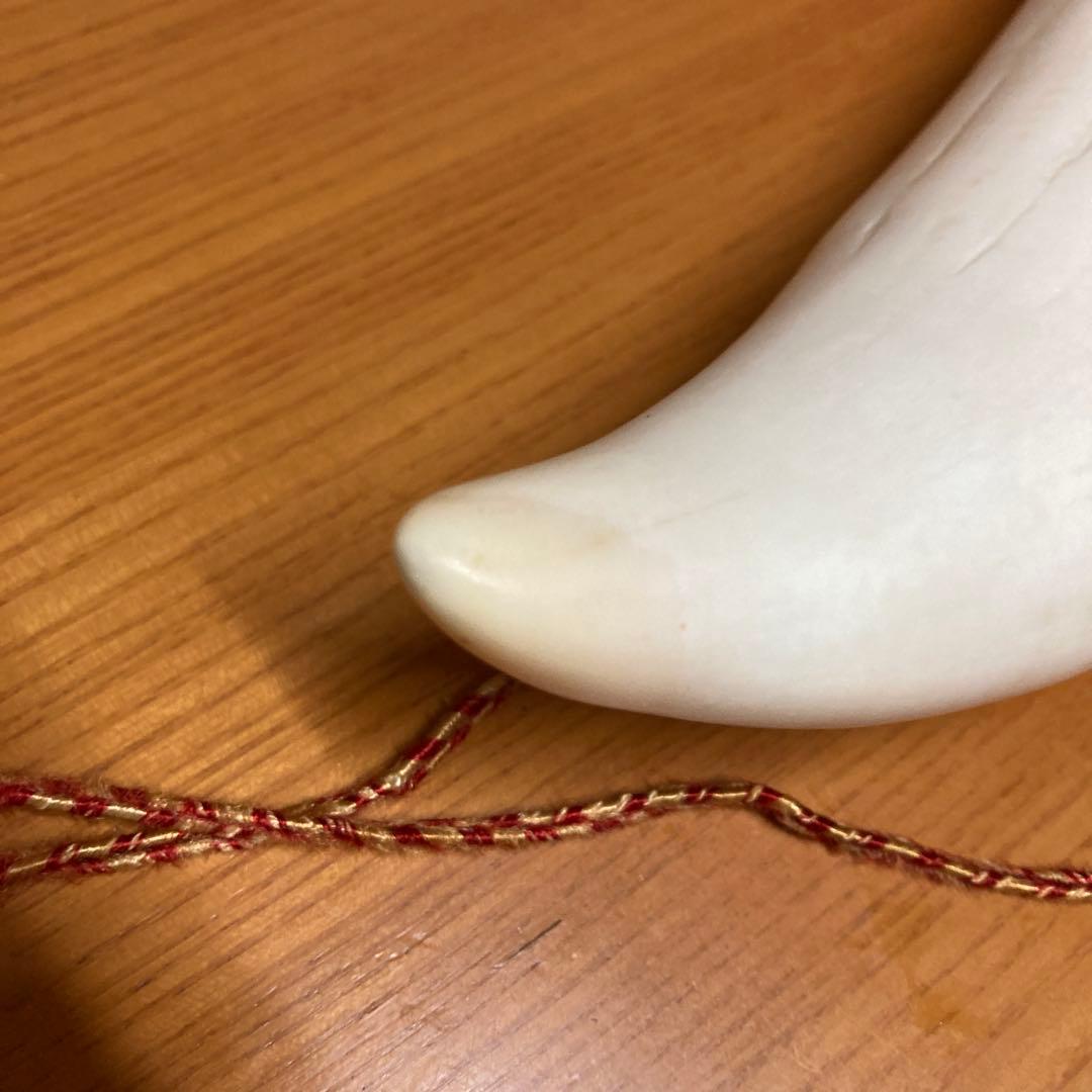 マッコウクジラの歯