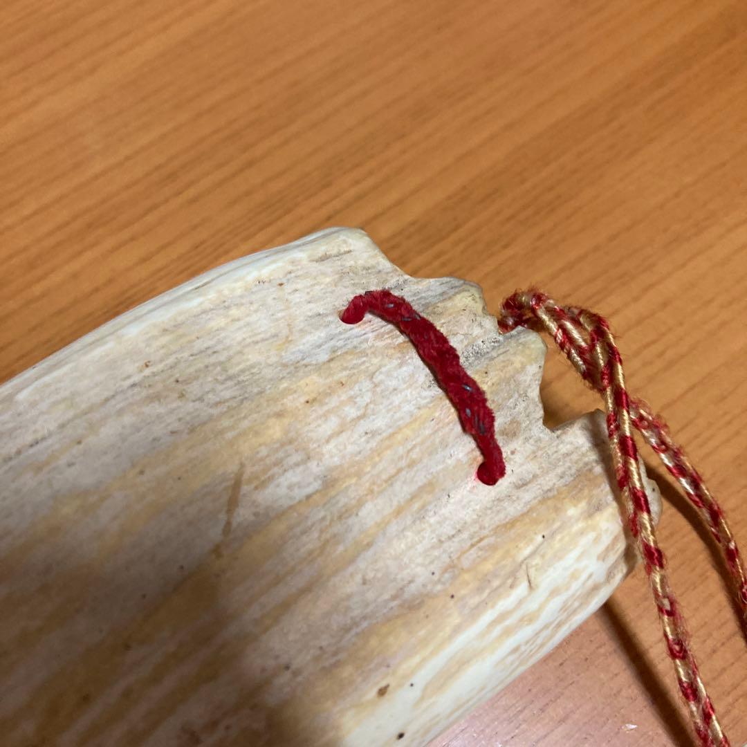 マッコウクジラの歯