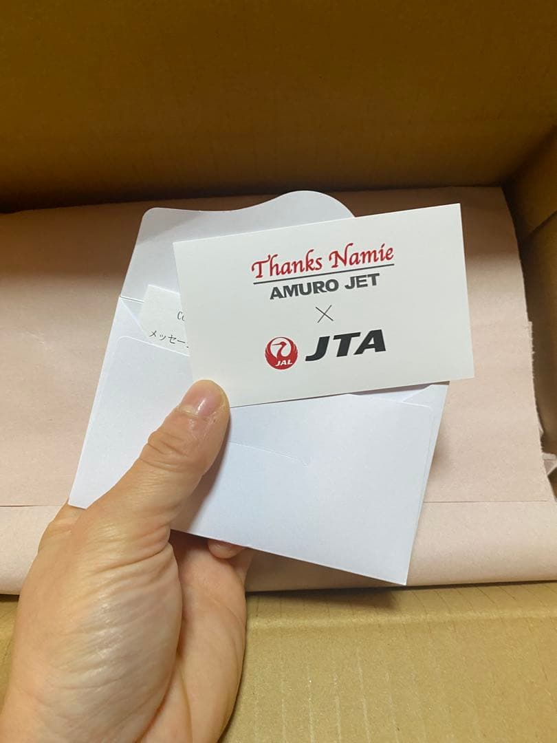 新品未開封　安室奈美恵JTA AMURO JET 1:130 スケールモデル