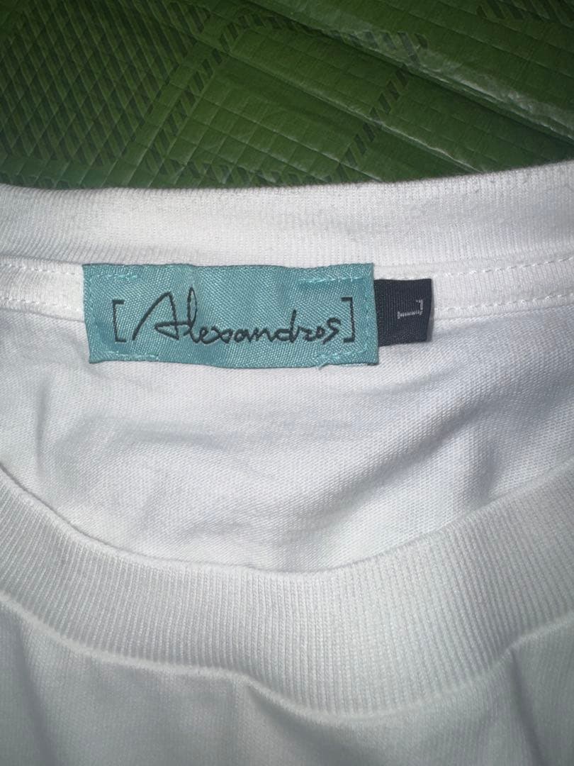 Alexandros VIP PARTY 25 Tシャツ　Lサイズ