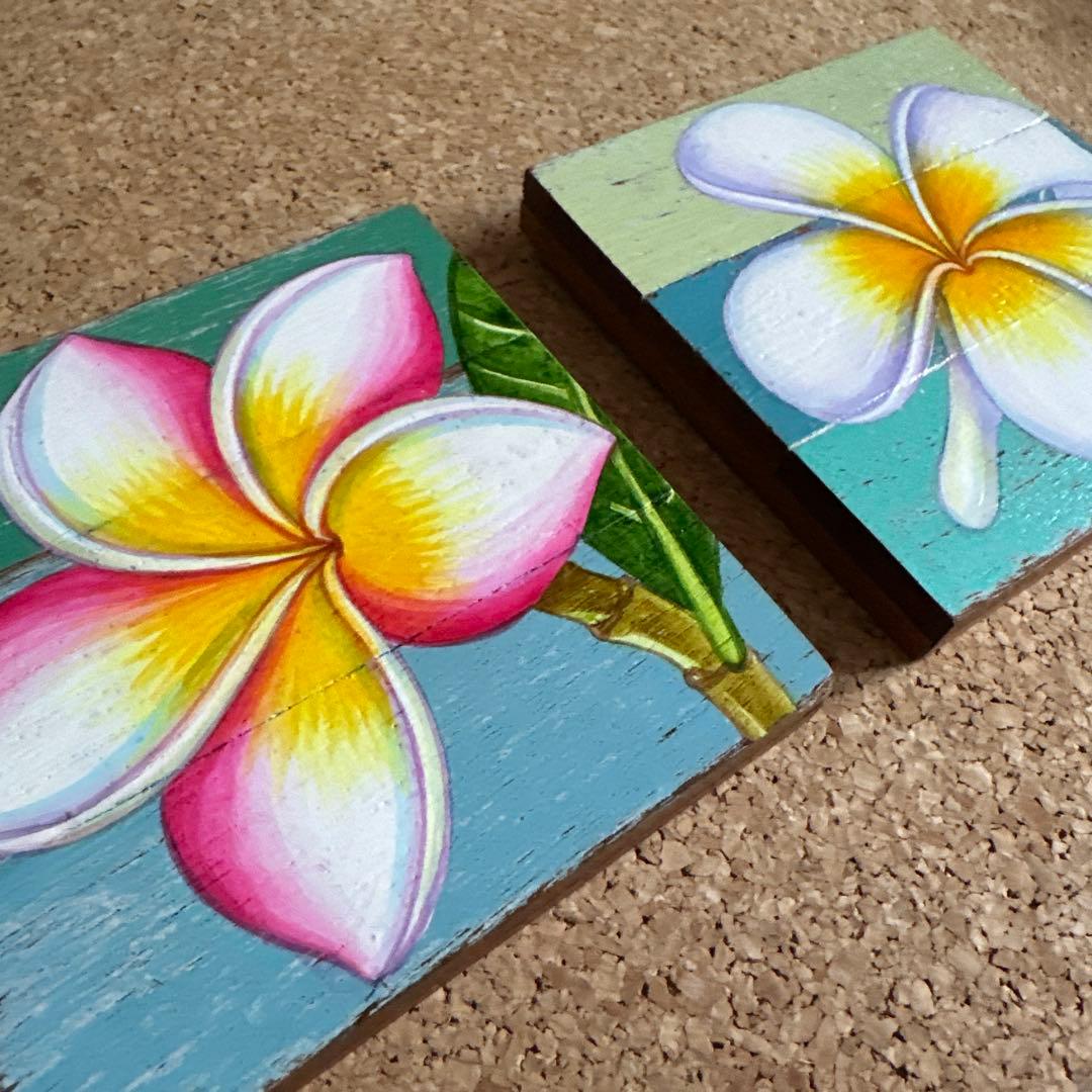 プルメリア　ハワイ　アート