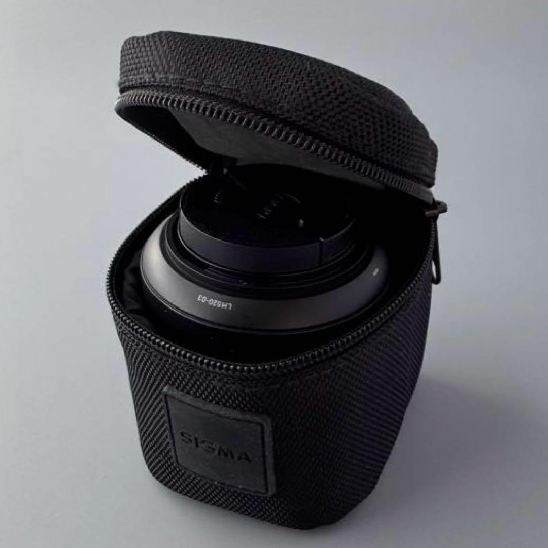 レンズ(単焦点) petitko SIGMA 19mm F2.8 EX DN