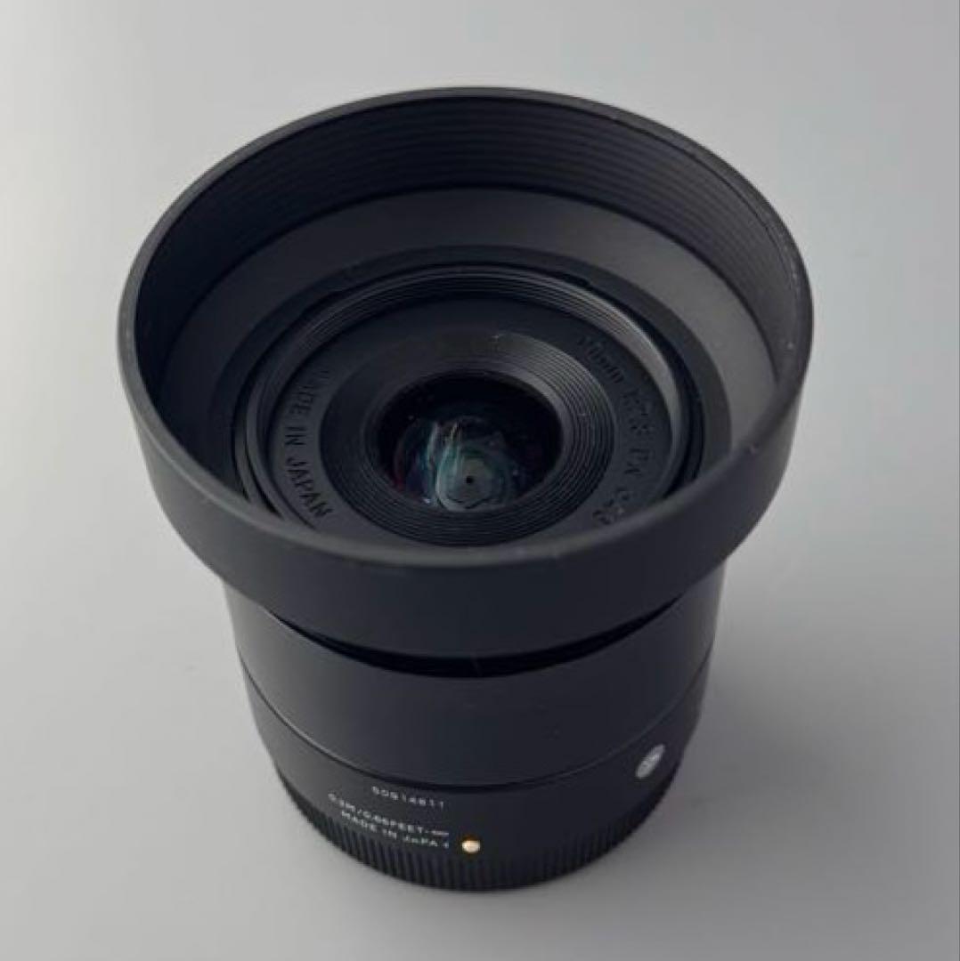 レンズ(単焦点) petitko SIGMA 19mm F2.8 EX DN