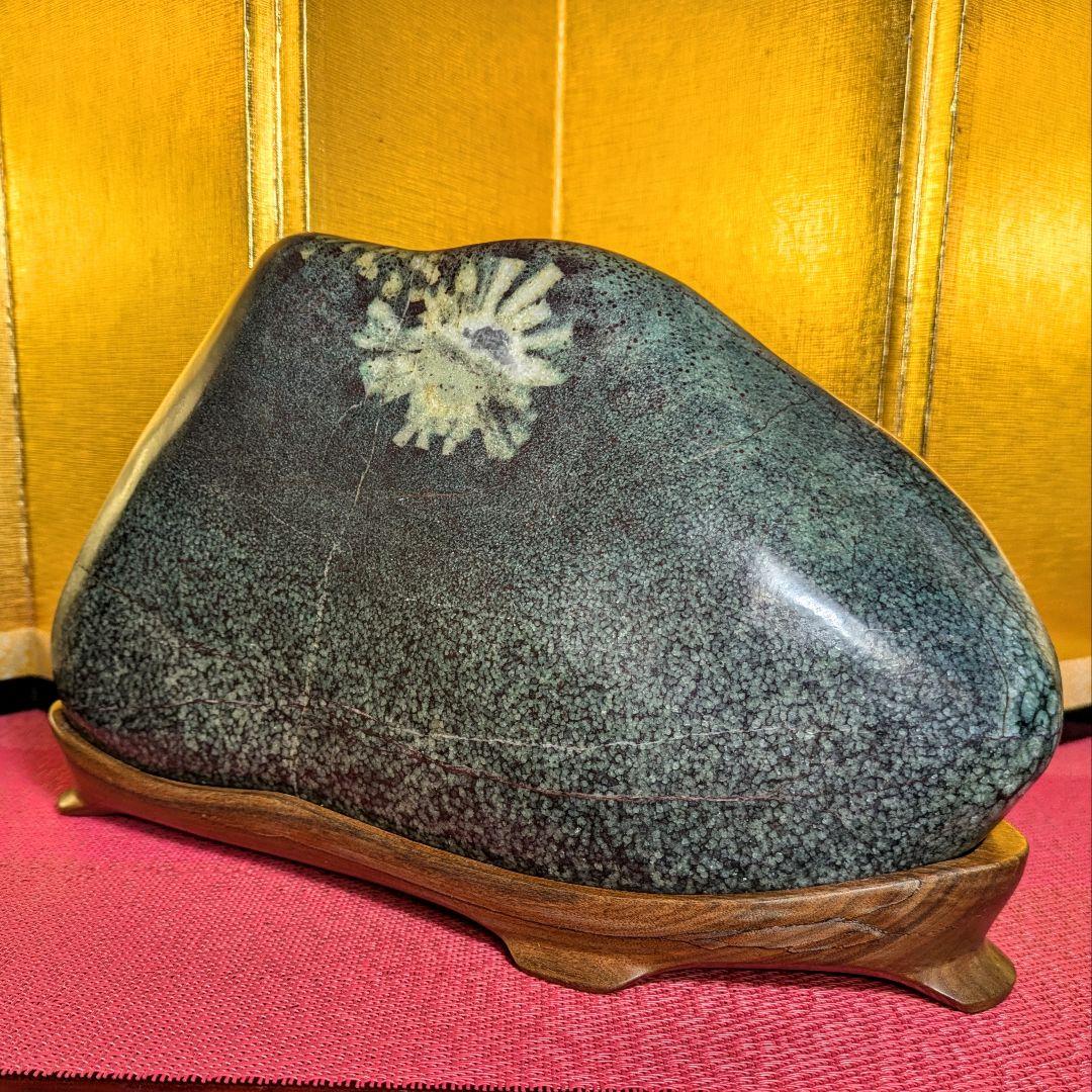 菊花石 岐阜県根尾谷産5.2㌔ 鑑賞石 観賞石 水石 盆石 天然石