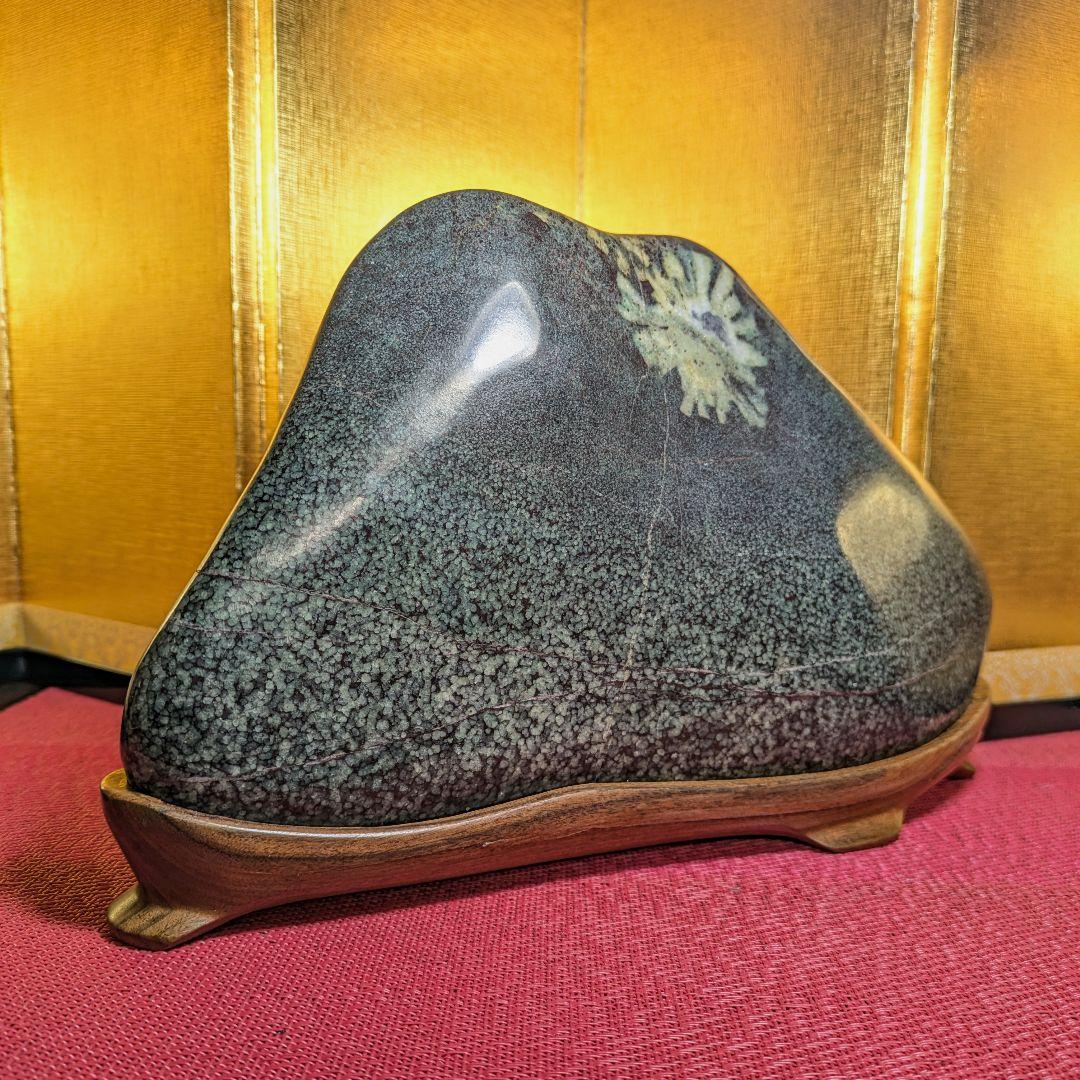 菊花石 岐阜県根尾谷産5.2㌔ 鑑賞石 観賞石 水石 盆石 天然石