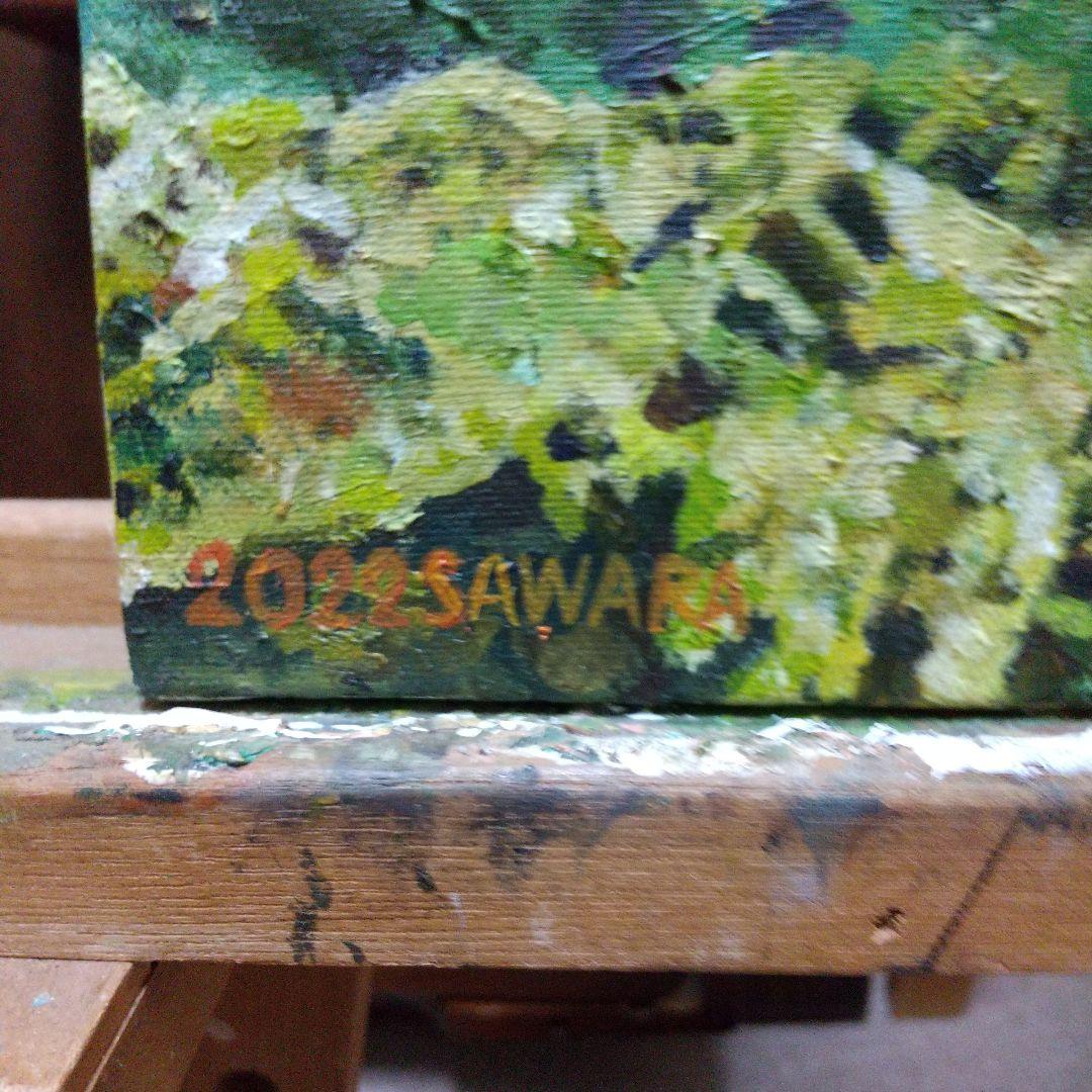 絵画、油彩、F6号、沖縄の海亀、佐原聖春