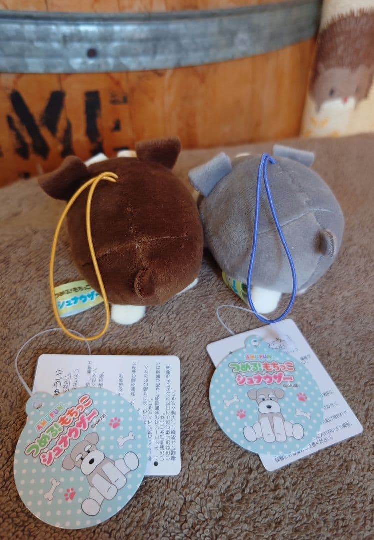 つめる！もちっこシュナウザー VMCセット