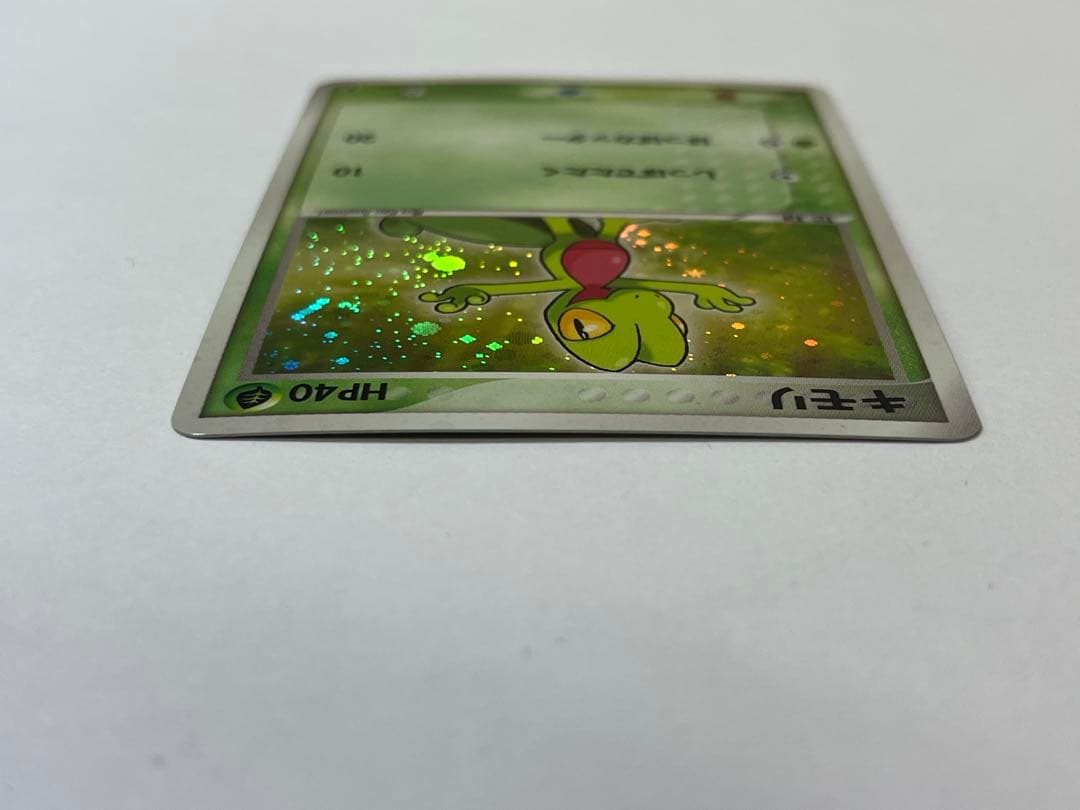 廃盤/初版 キモリ 1st Edition ミラー ホロ 003/019 ポケカ