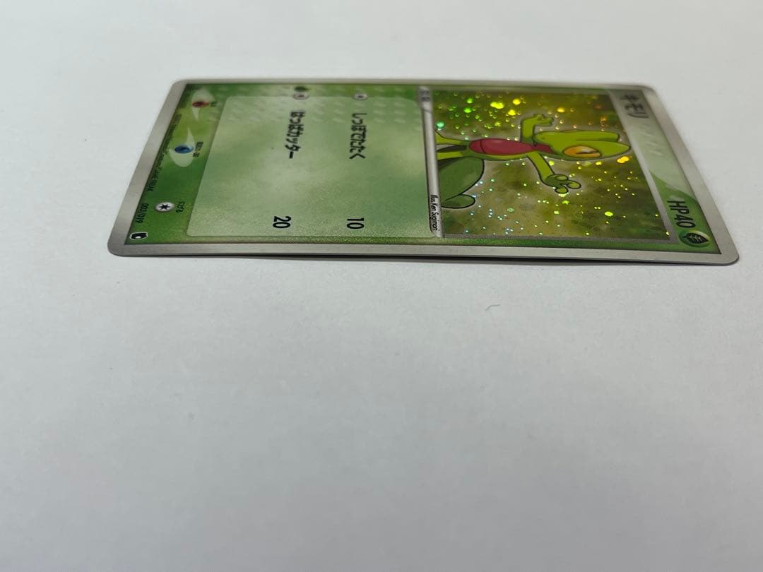 廃盤/初版 キモリ 1st Edition ミラー ホロ 003/019 ポケカ