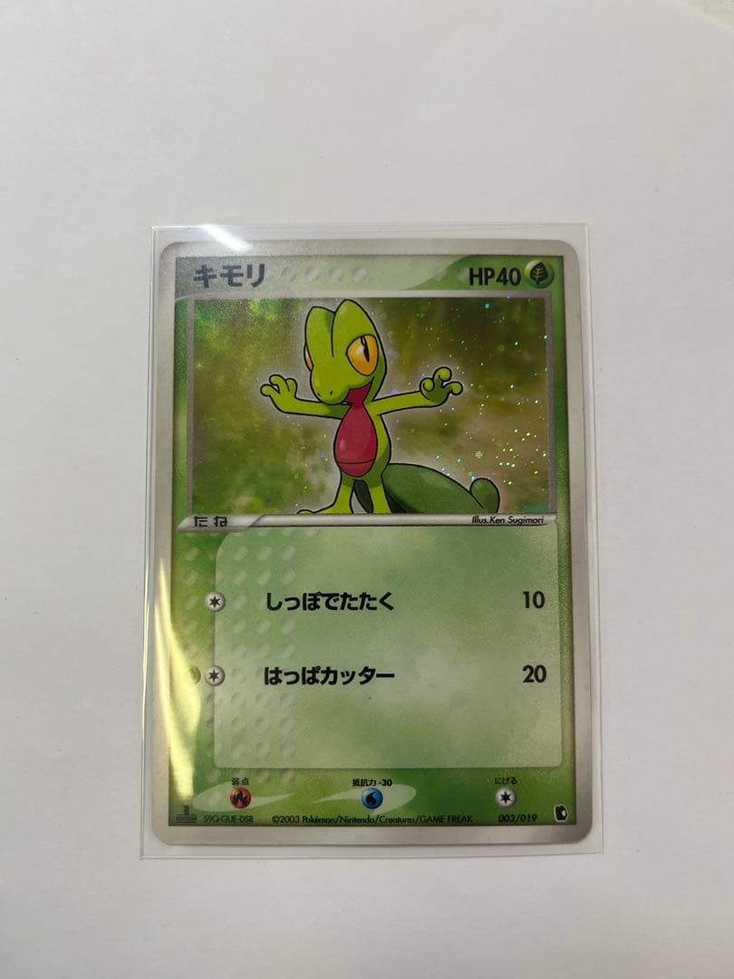 廃盤/初版 キモリ 1st Edition ミラー ホロ 003/019 ポケカ