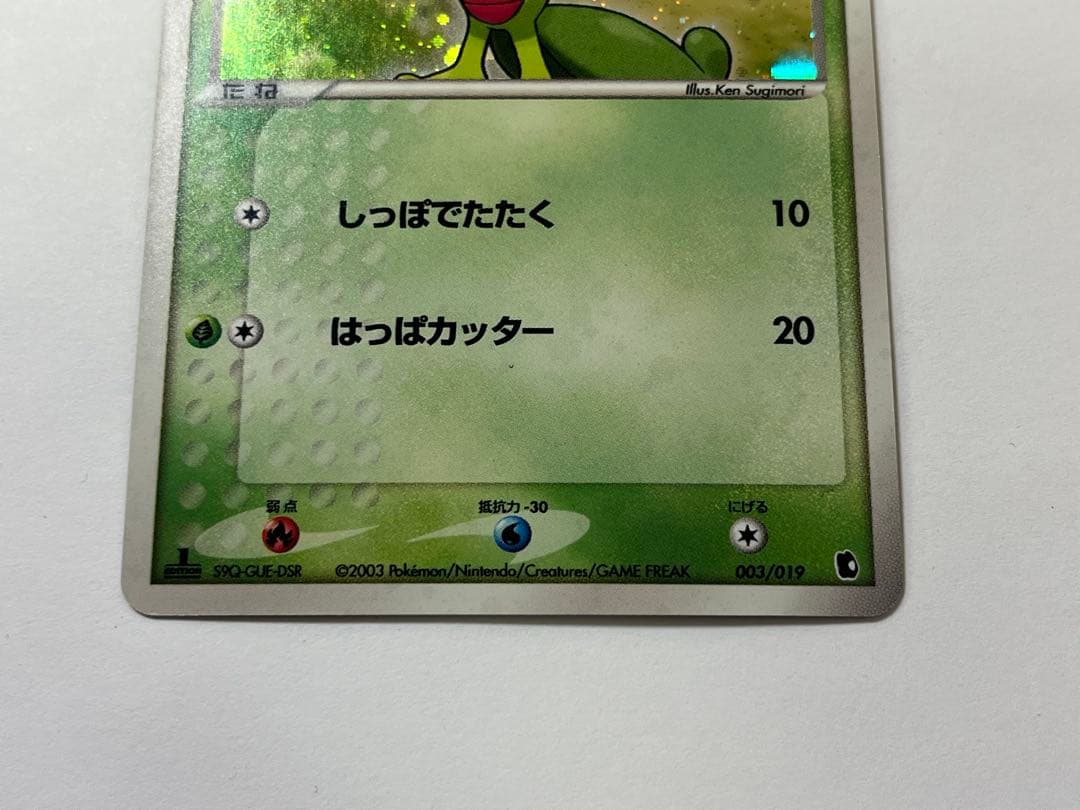 廃盤/初版 キモリ 1st Edition ミラー ホロ 003/019 ポケカ