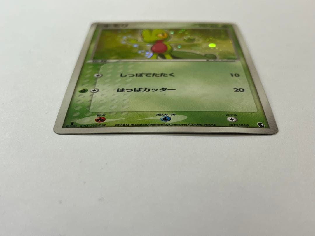 廃盤/初版 キモリ 1st Edition ミラー ホロ 003/019 ポケカ