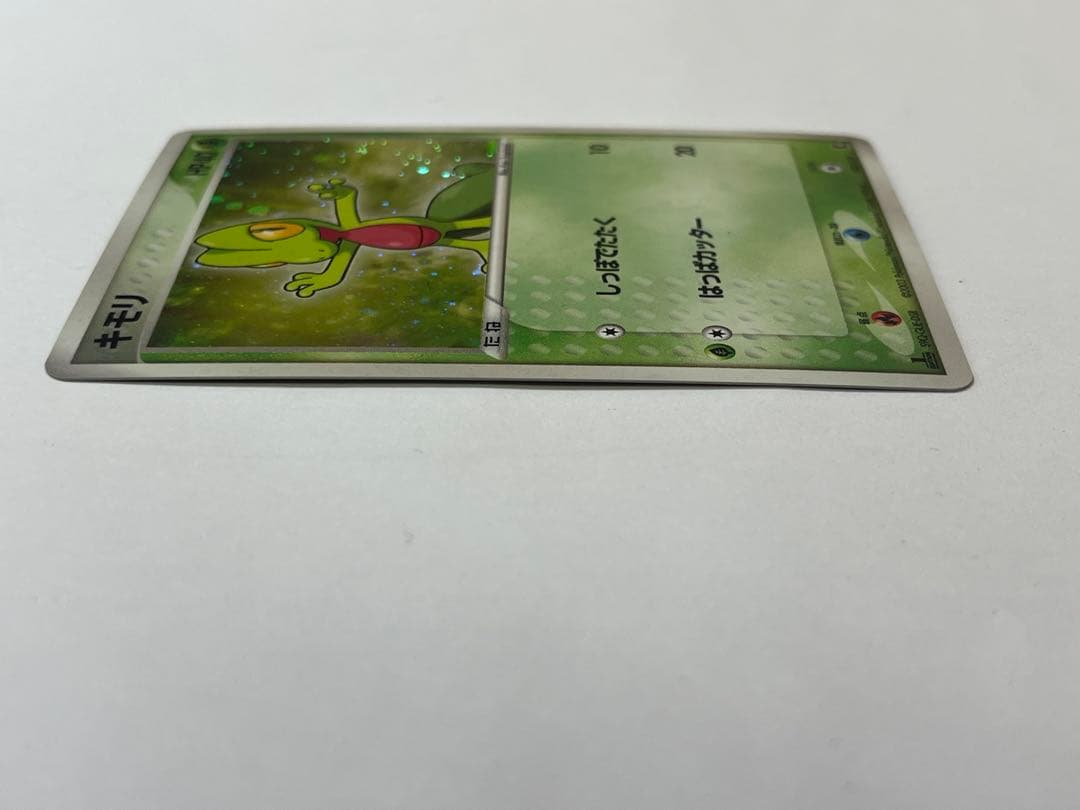 廃盤/初版 キモリ 1st Edition ミラー ホロ 003/019 ポケカ