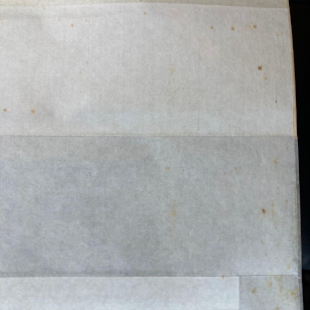 光雪　柳に老文人画　掛け軸　古美術　骨董品