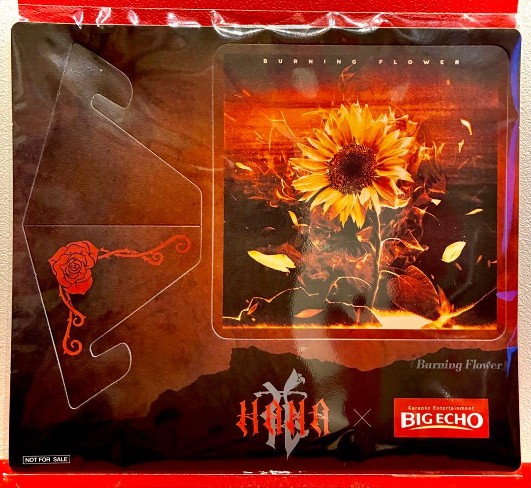 ビックエコー　HANA コラボ　コースター　全8種　コンプリート　セット