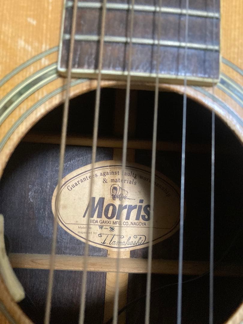 L.R Baggs Anthem SL？搭載!　Morris W-28