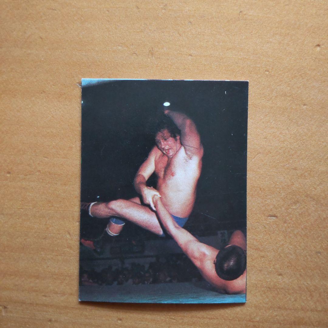 全日本プロレス∕ミニカード∕No.14∕テリー・ファンク∕昭和レトロ∕希少